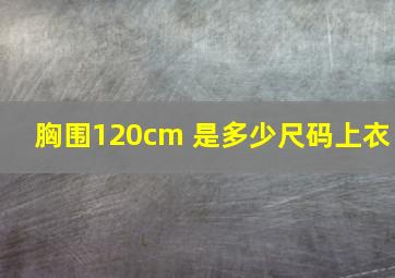 胸围120cm 是多少尺码上衣